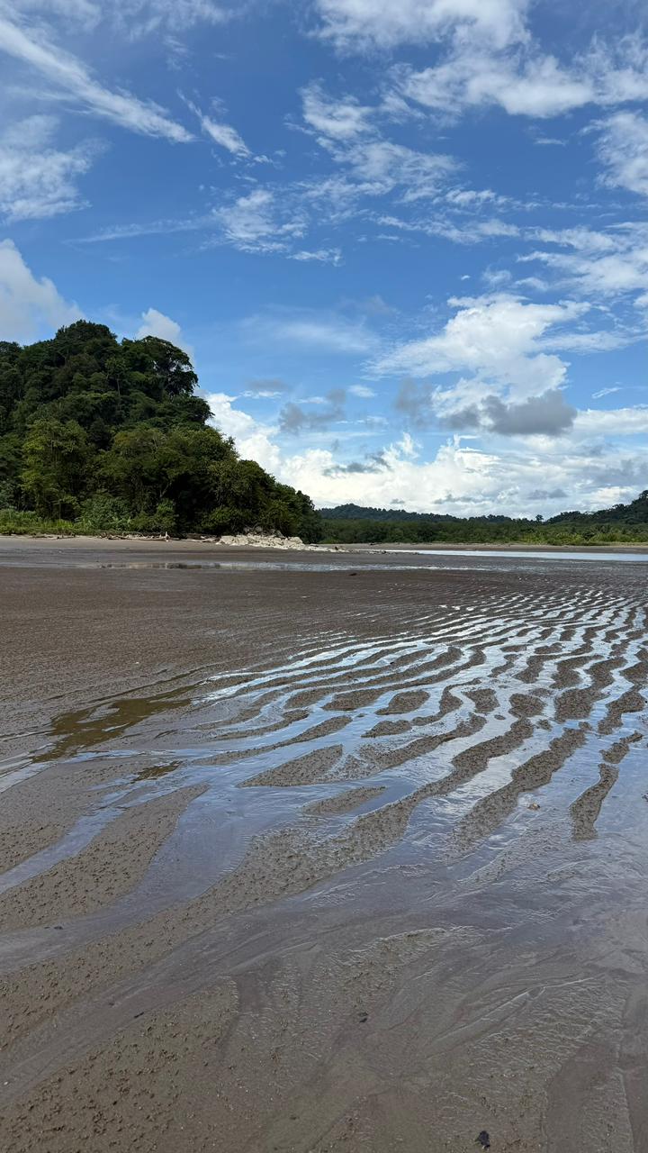 3-bananatravel-pacficcoast