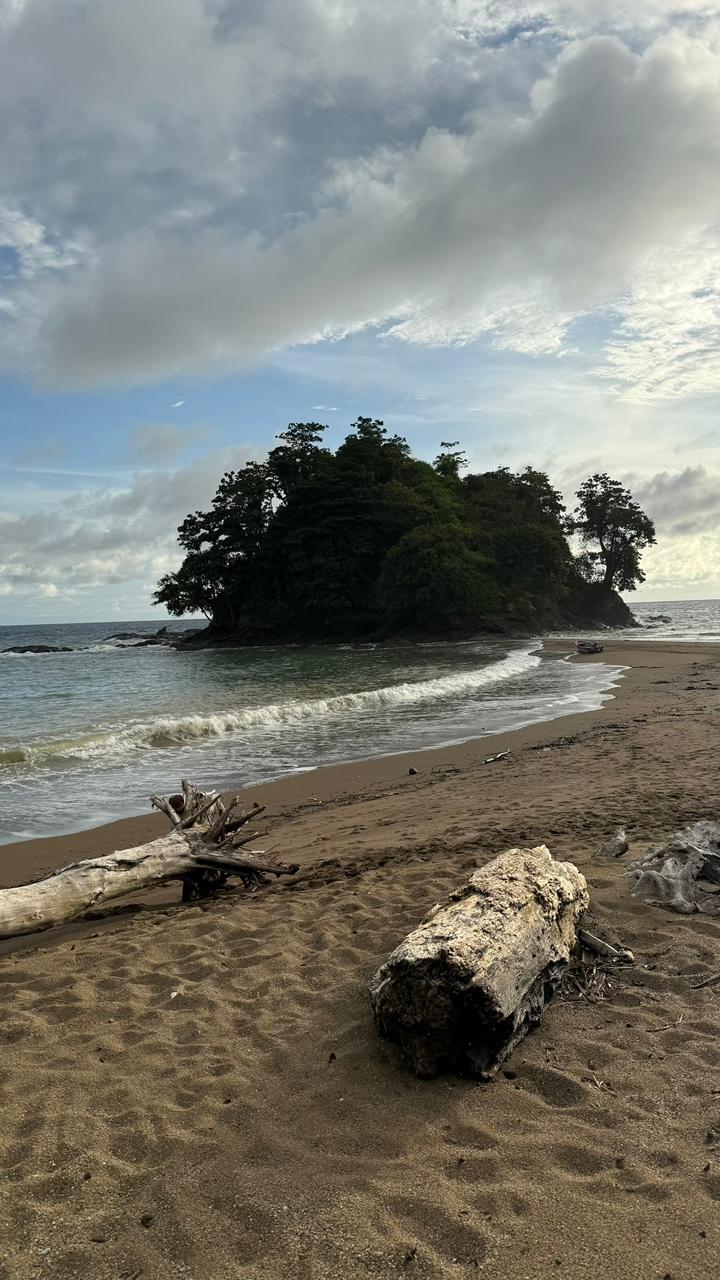 5-bananatravel-pacficcoast